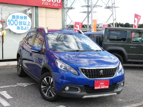 Peugeot 2008 Cross City — photo 8