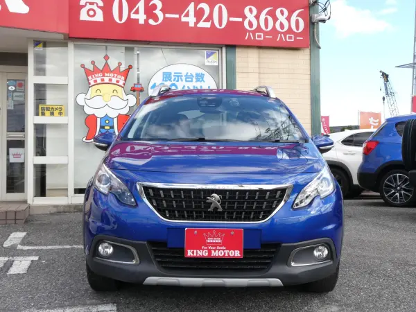 Peugeot 2008 Cross City — photo 9