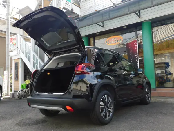 2017 Peugeot 2008 — photo 9 | Tuminion Kenya