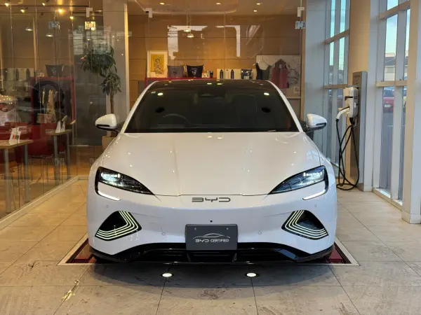 BYD Seal Base Model ADAS Glass Roof 360 Camera Navigation — photo 9