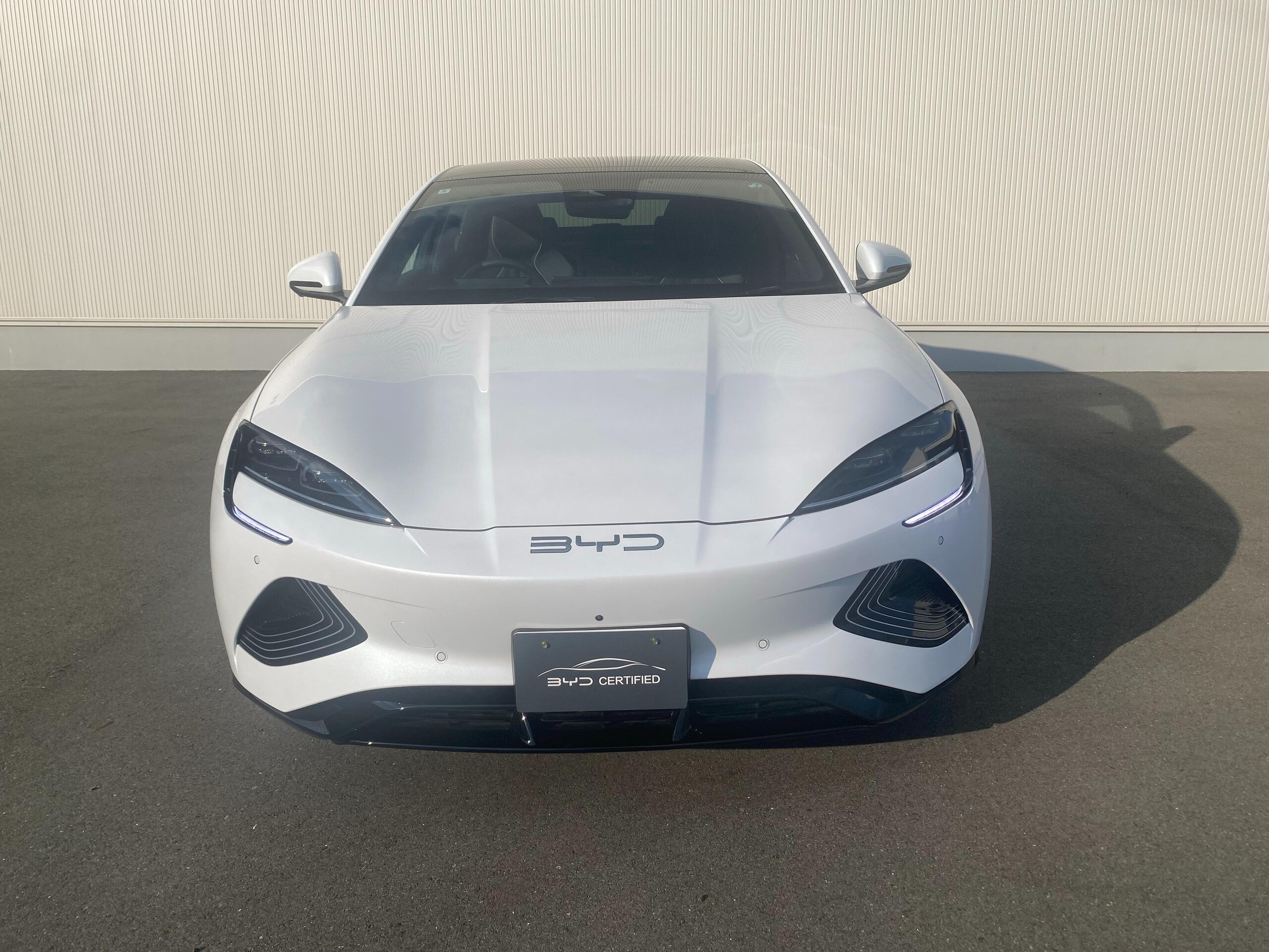 BYD Seal AWD Demo Car Non-Smoking (Aurora White) — photo 7