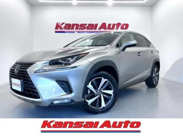 Lexus NX300 I Package White Leather/All Around Monitor/BSM/ETC2.0/Triple Beam/Collision Mitigation/Seat Heater/Power Back Door/Smart Key/Card Key/Original Floor Mats/Memory Power Seat (Sonic Titanium)