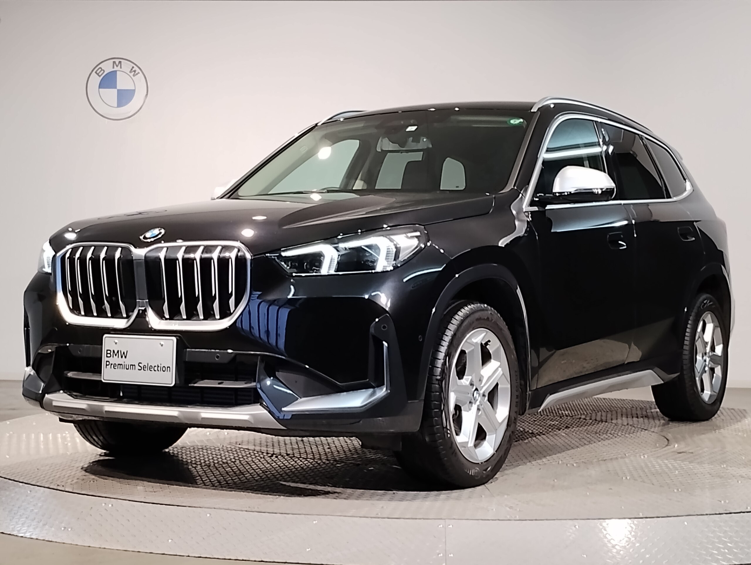 BMW X1 xDrive20i xLine DCT 4WD