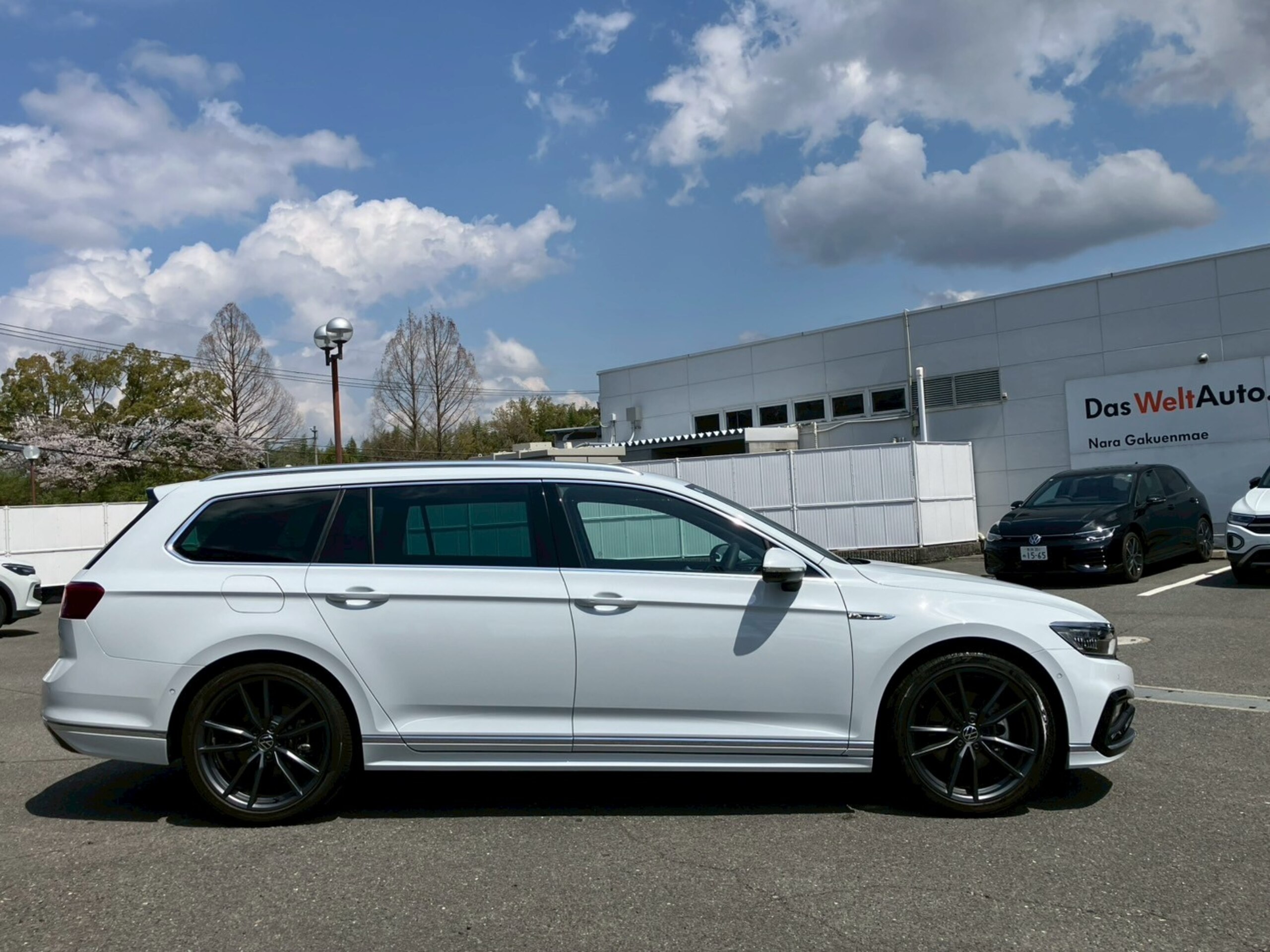 Volkswagen Passat Variant TDI R-Line Diesel Turbo — photo 7