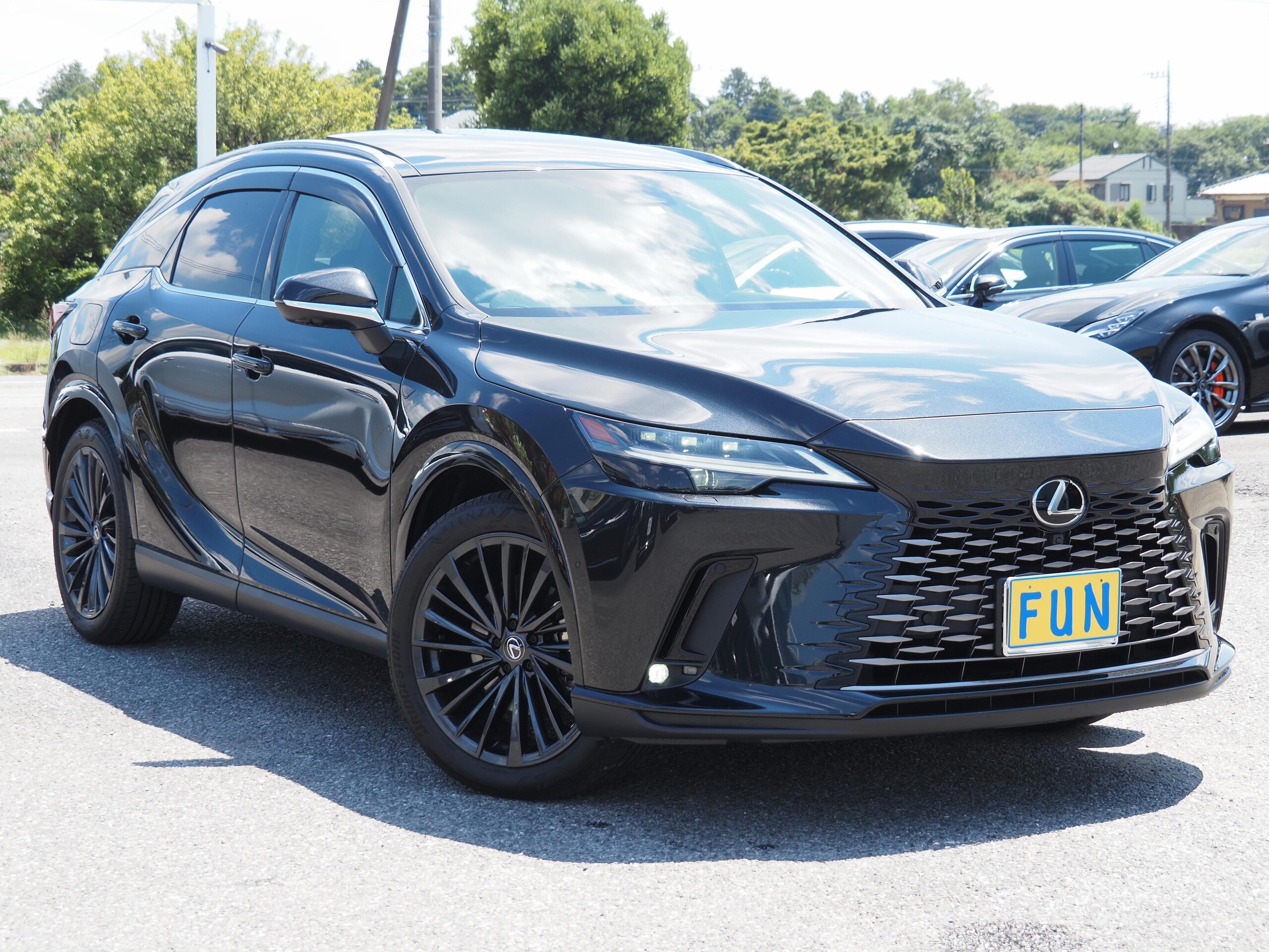 2023 Lexus Rx — photo 3