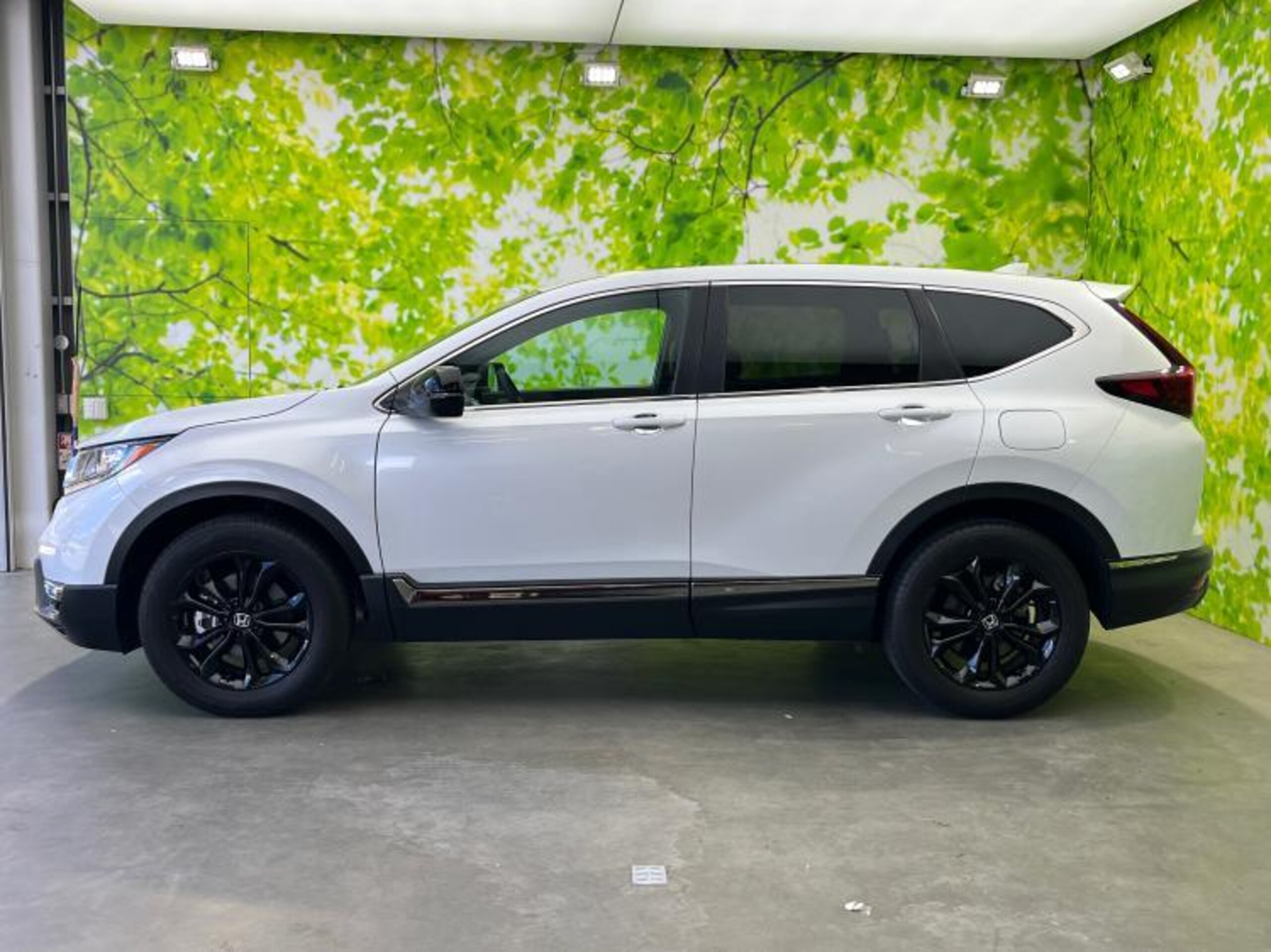 2022 Honda Cr-v — photo 2