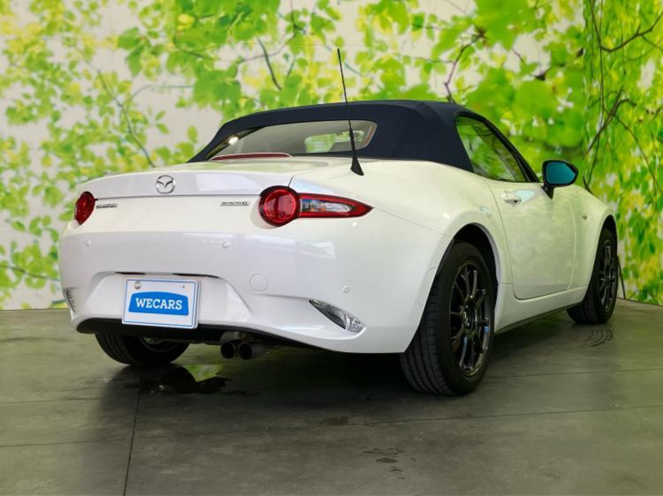 2023 Mazda Roadster — photo 3