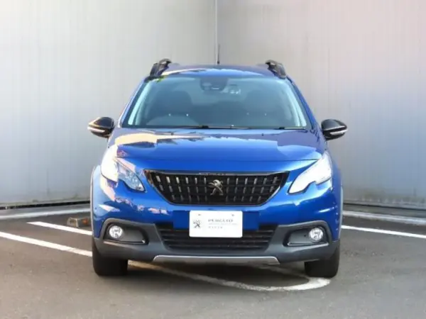 2019 Peugeot 2008 — photo 2