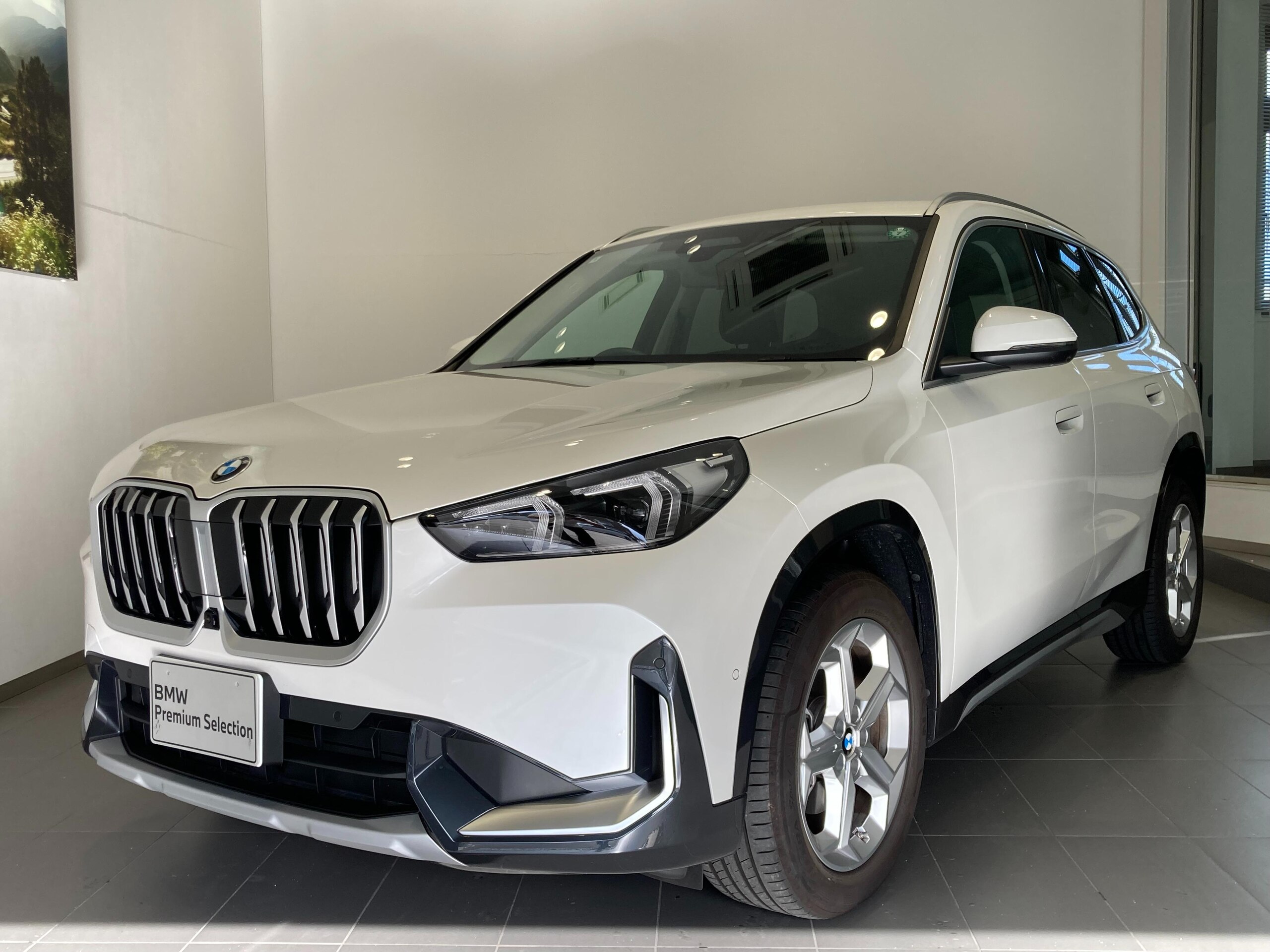 BMW X1 xDrive20d xLine DCT Diesel Turbo 4WD