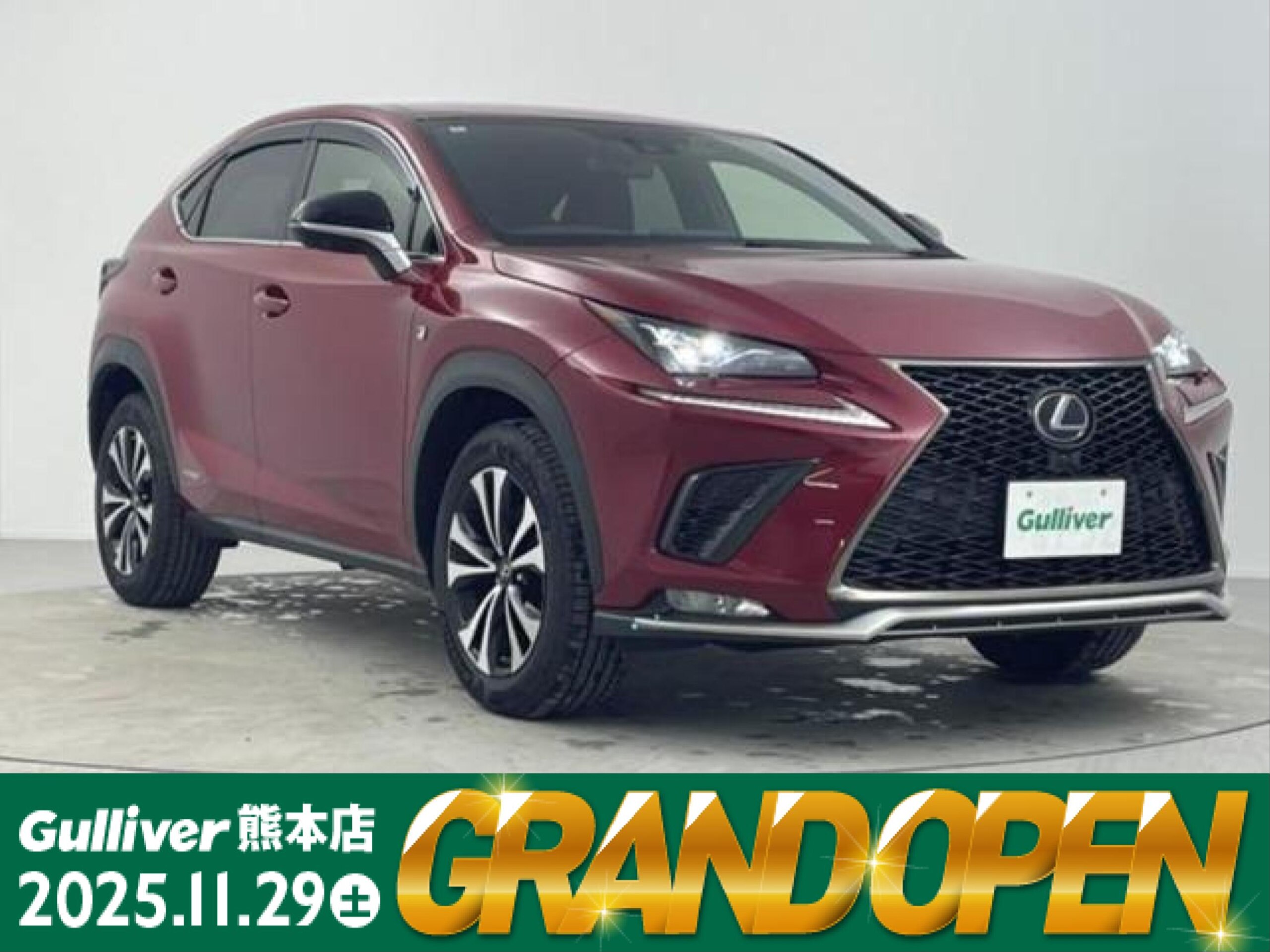 Lexus NX 300h F Sport