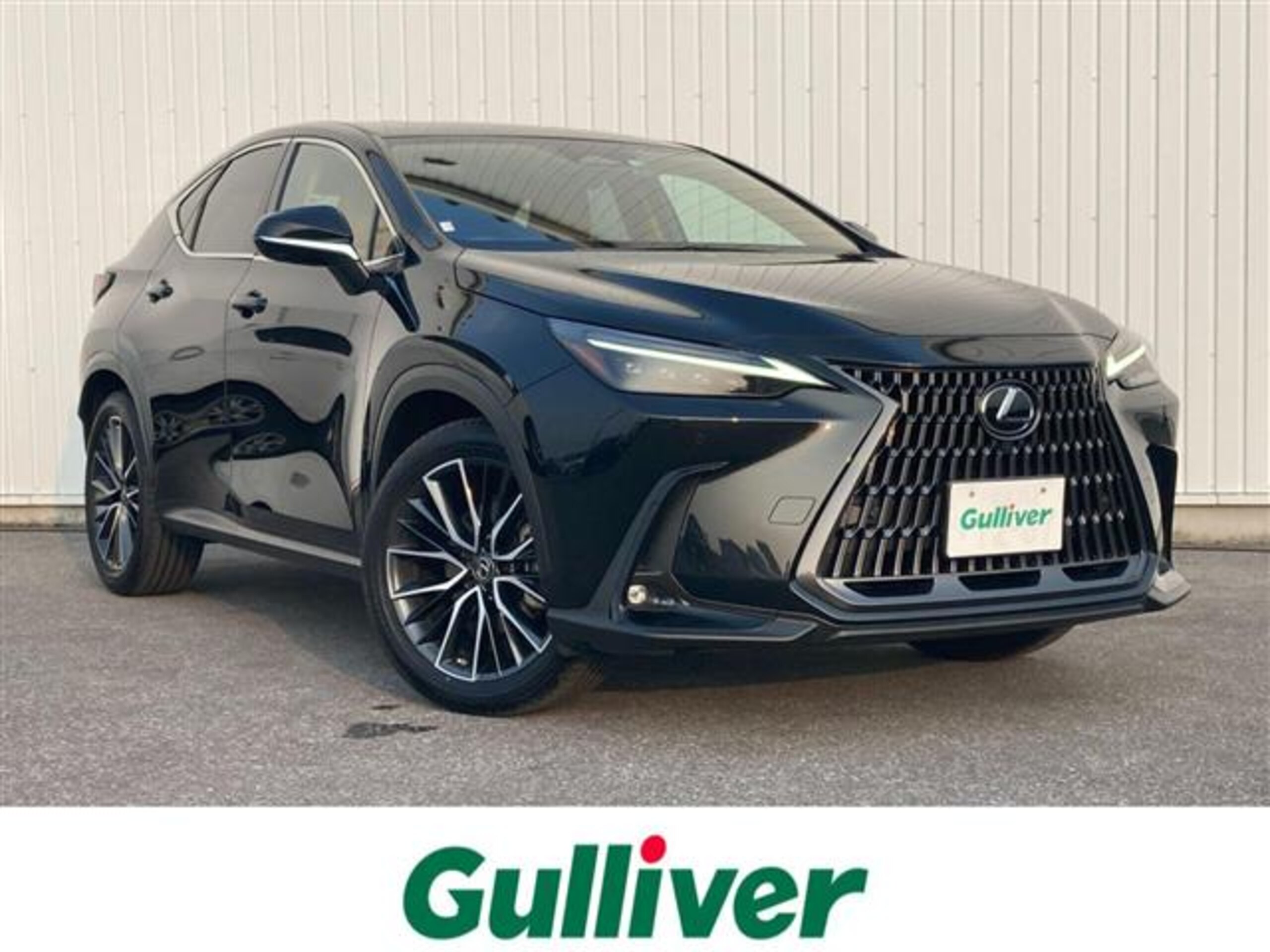 Lexus NX250 Version L