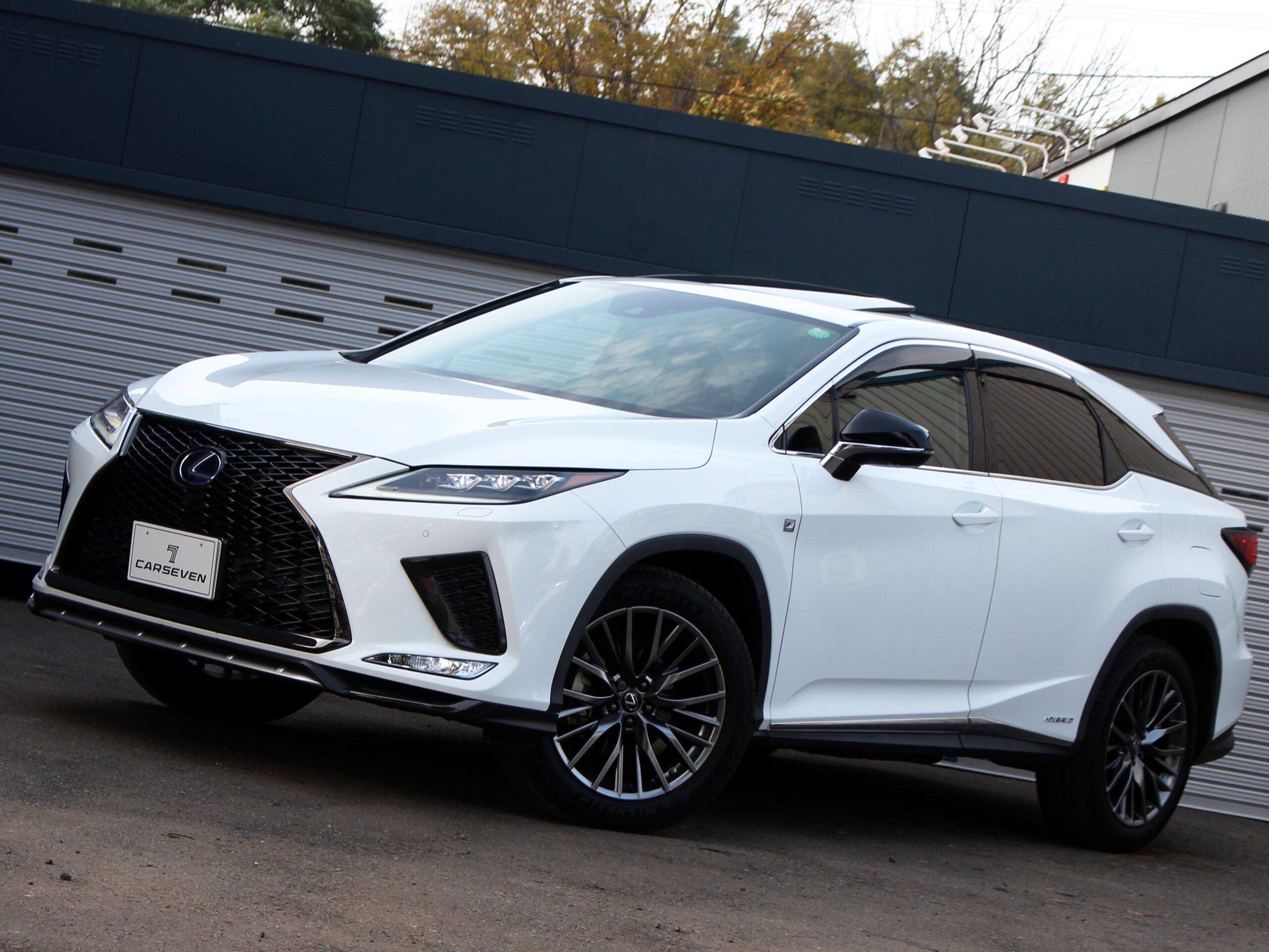 2019 Lexus Rx — photo 2