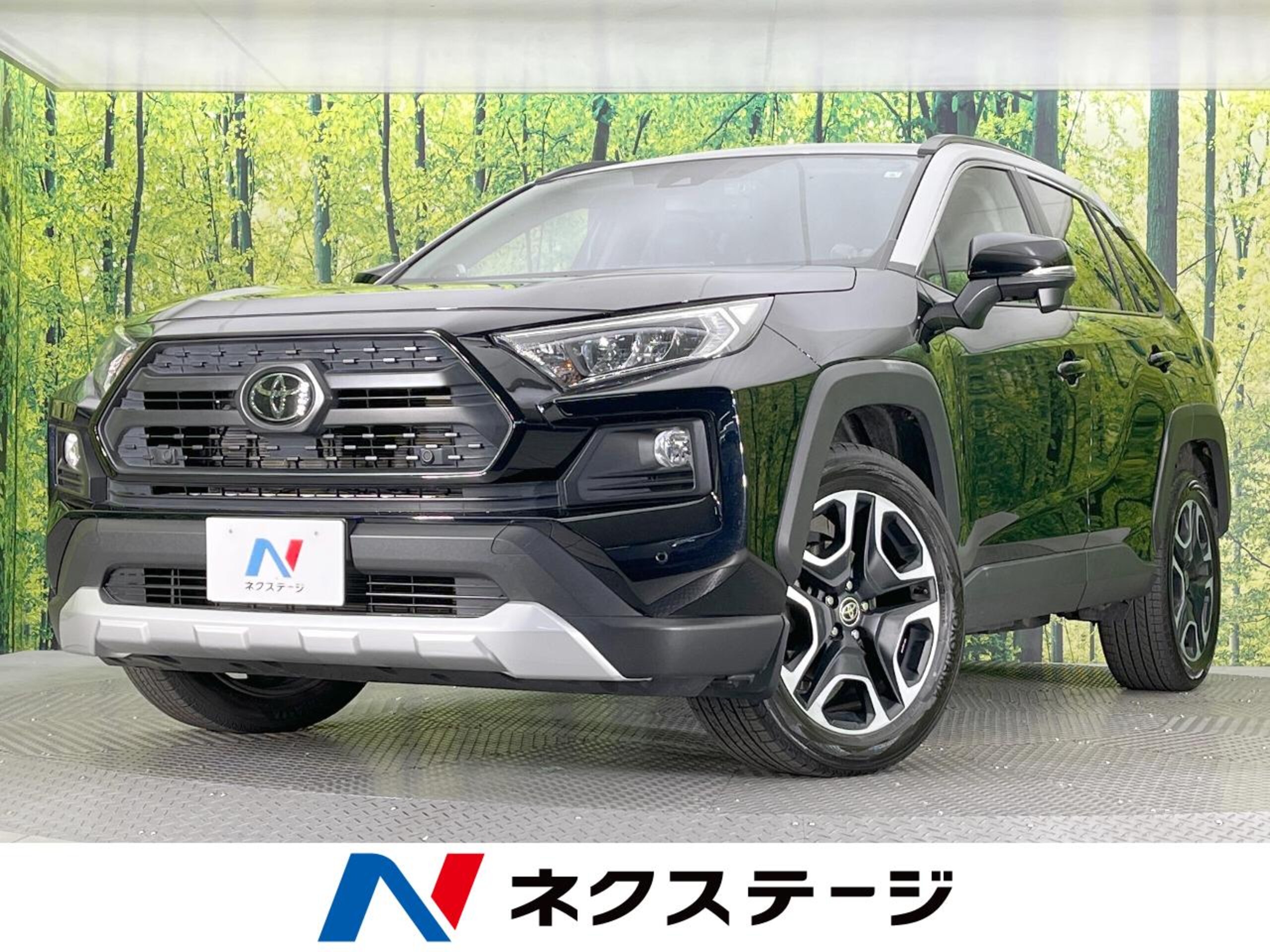 Toyota RAV4 2.0 Adventure 4WD