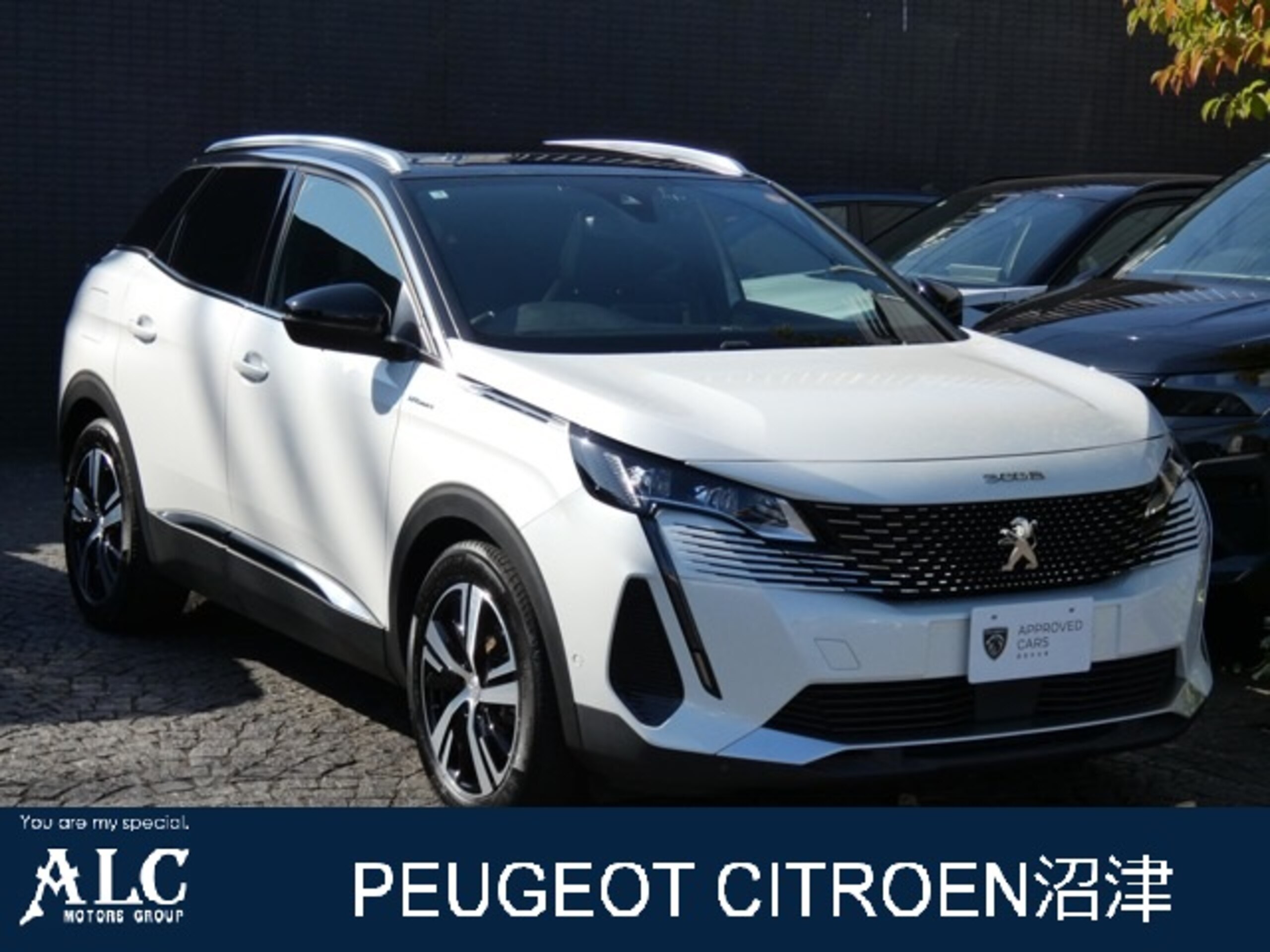Peugeot 3008 GT Hybrid4 4WD Certified Used Car with Warranty, Demo Car, ETC, Dashcam, Backup Camera, Power Seats, Collision Mitigation Braking, Idling Stop, Obstacle Sonar, Lane Keep, Adaptive Cruise Control, LED Lights, Genuine Wheels, Sunroof (Pearl White)