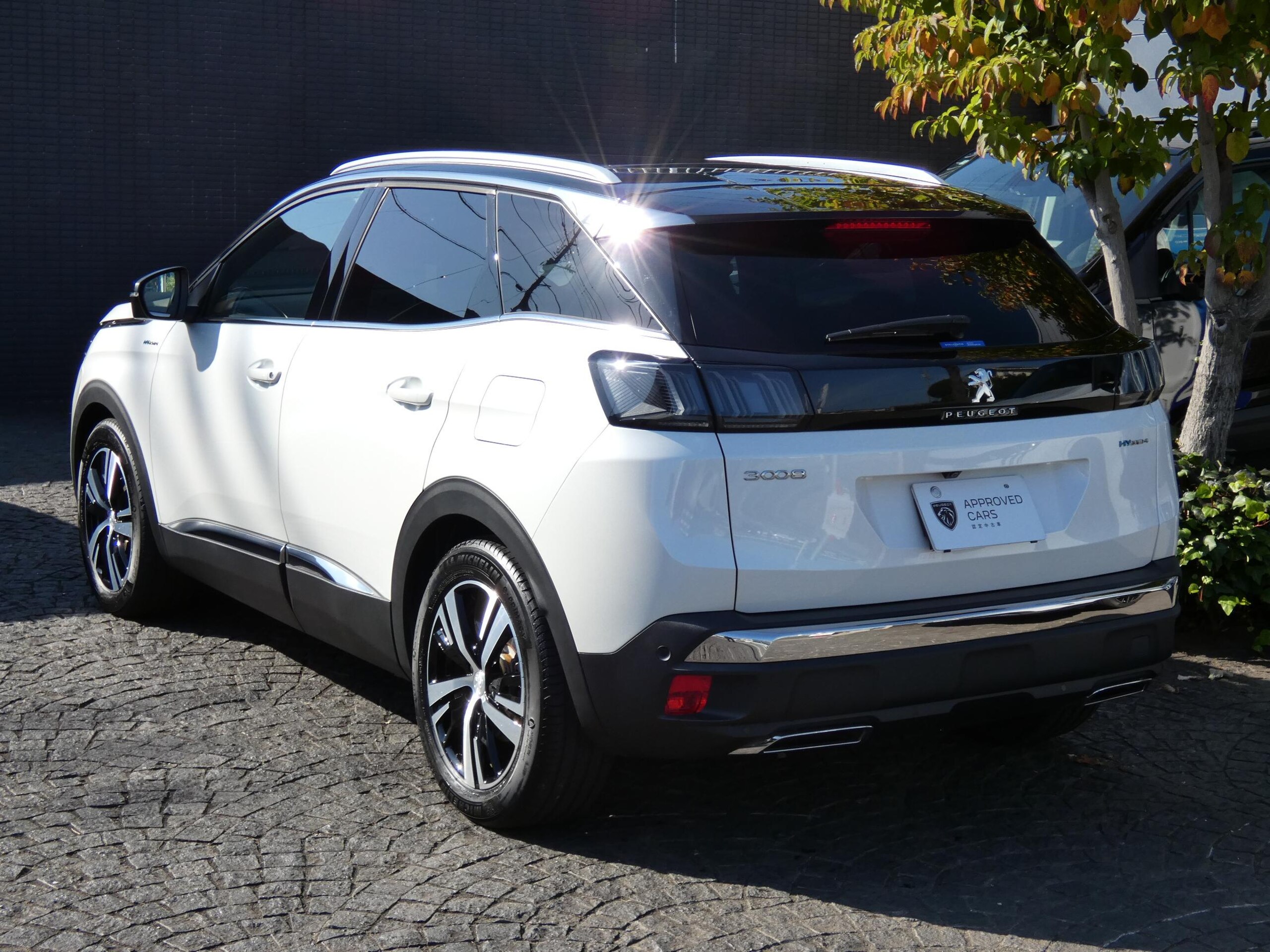 2025 Peugeot 3008 — photo 2