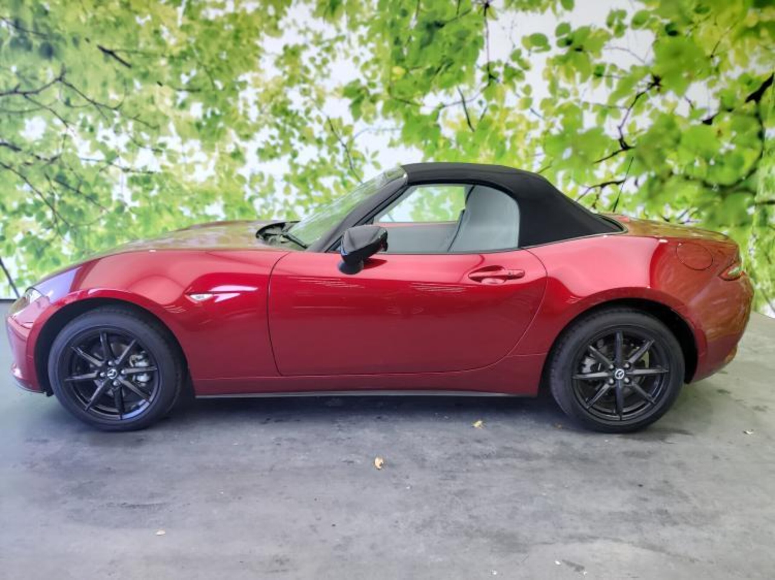 2025 Mazda Roadster — photo 2