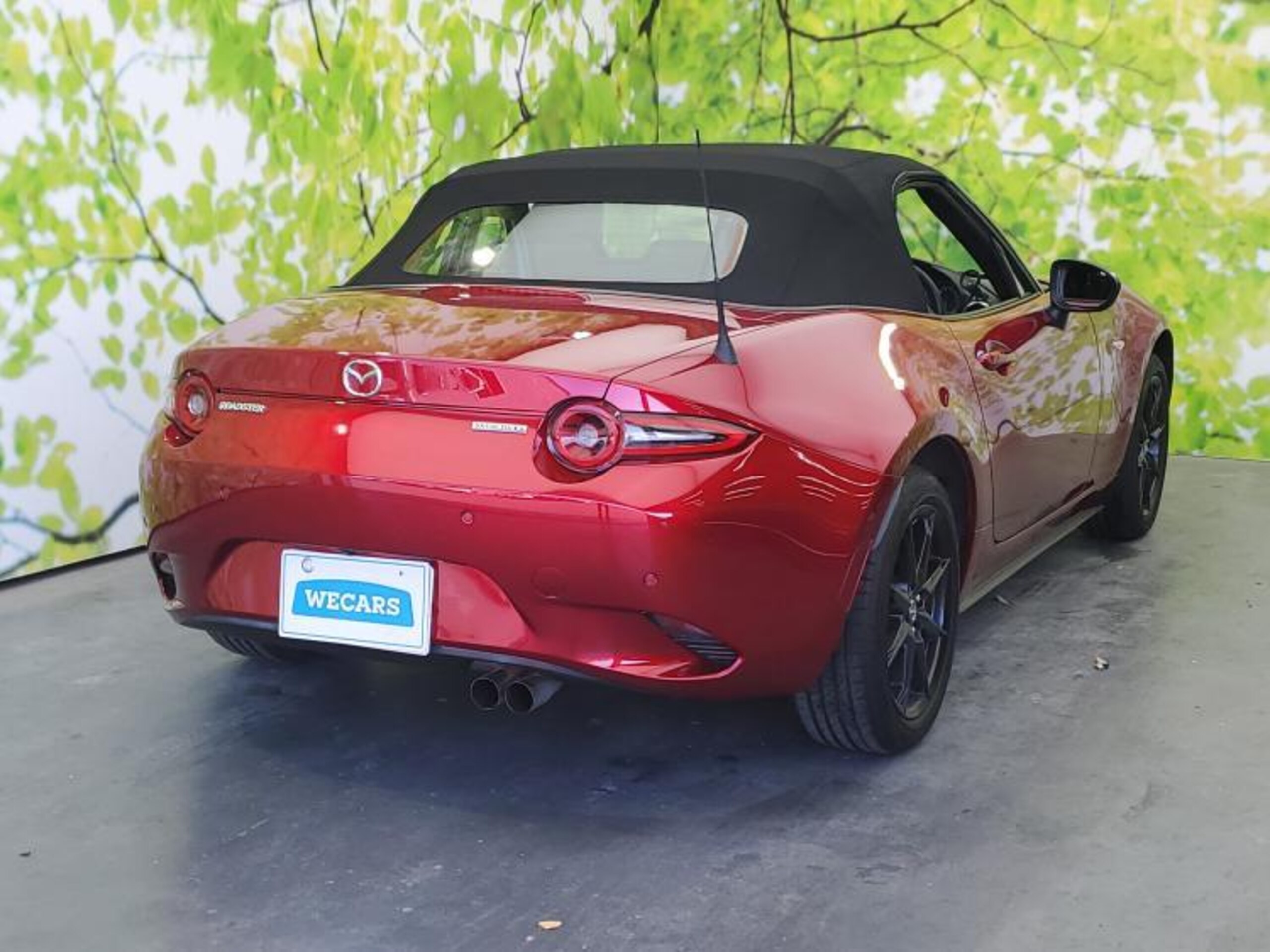 2025 Mazda Roadster — photo 3