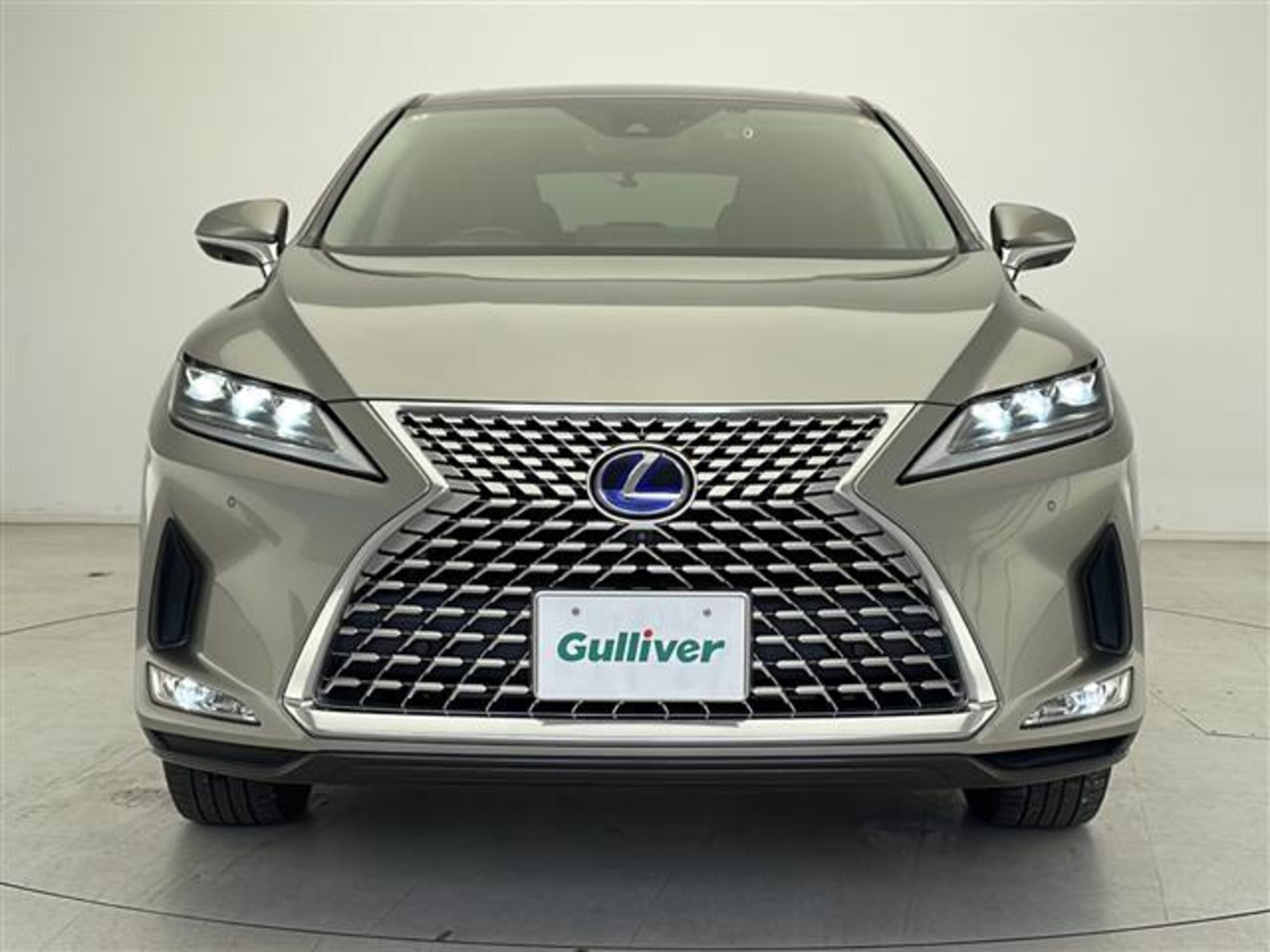 Lexus RX 450h Elegant Tourer — photo 9