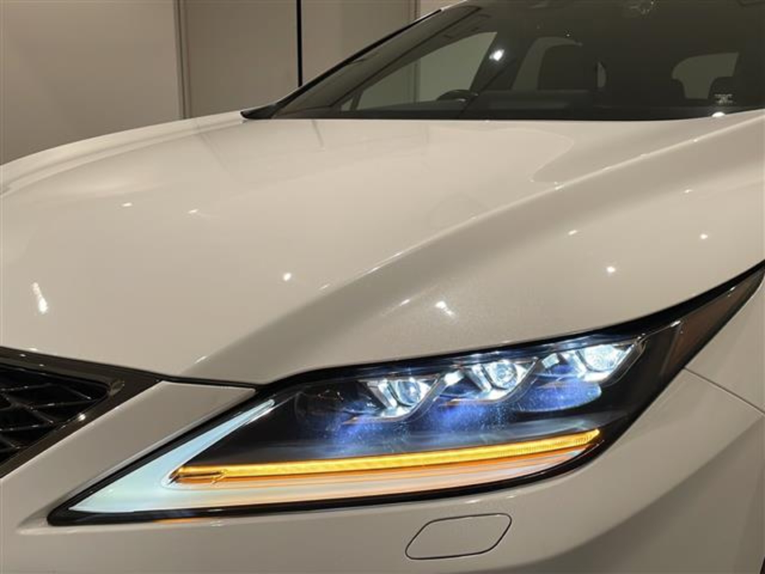 Lexus RX 300 F Sport — photo 8