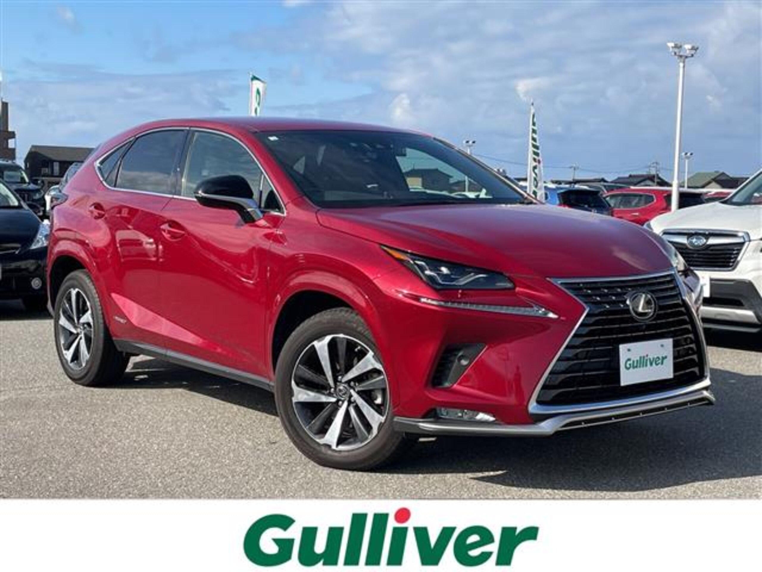 Lexus NX 300h Spice & Chic 4WD
