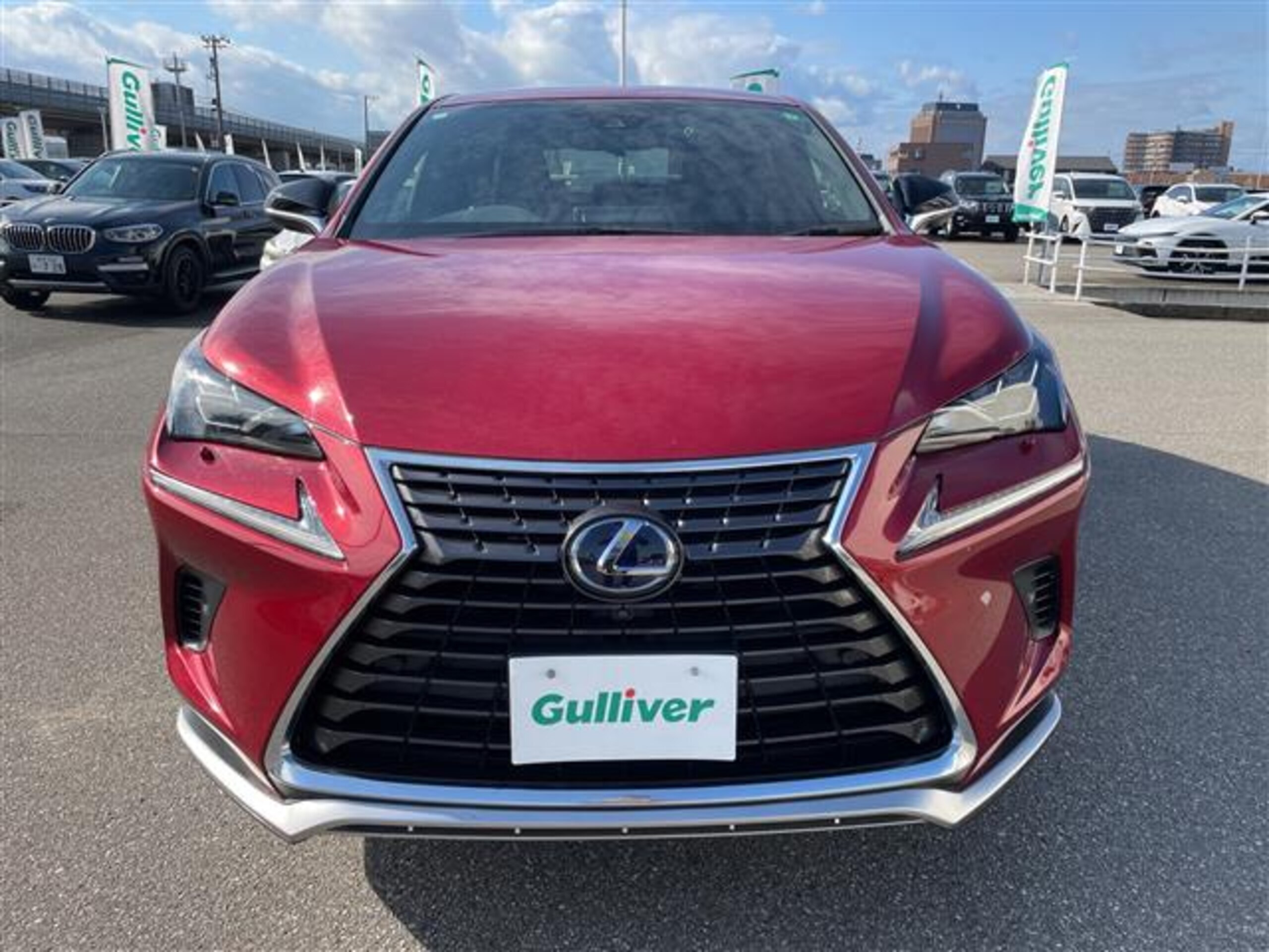 Lexus NX 300h Spice & Chic 4WD — photo 9