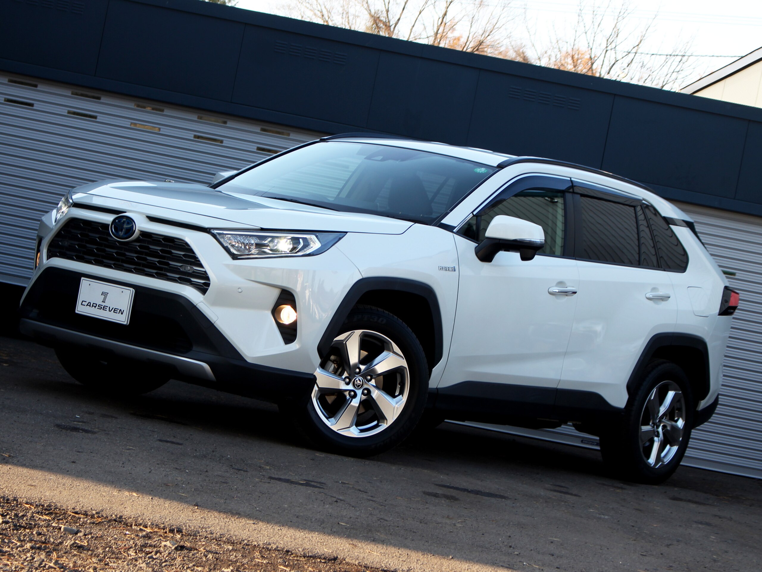 2019 Toyota  Rav4 — photo 2