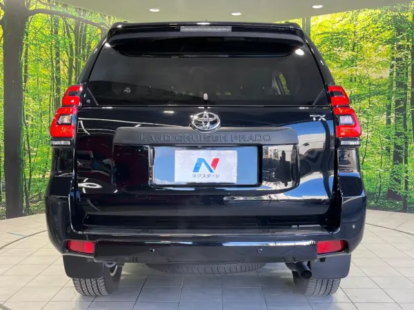 Toyota Land Cruiser Prado 2.7 TX L Package Matte Black Edition 4WD — photo 9