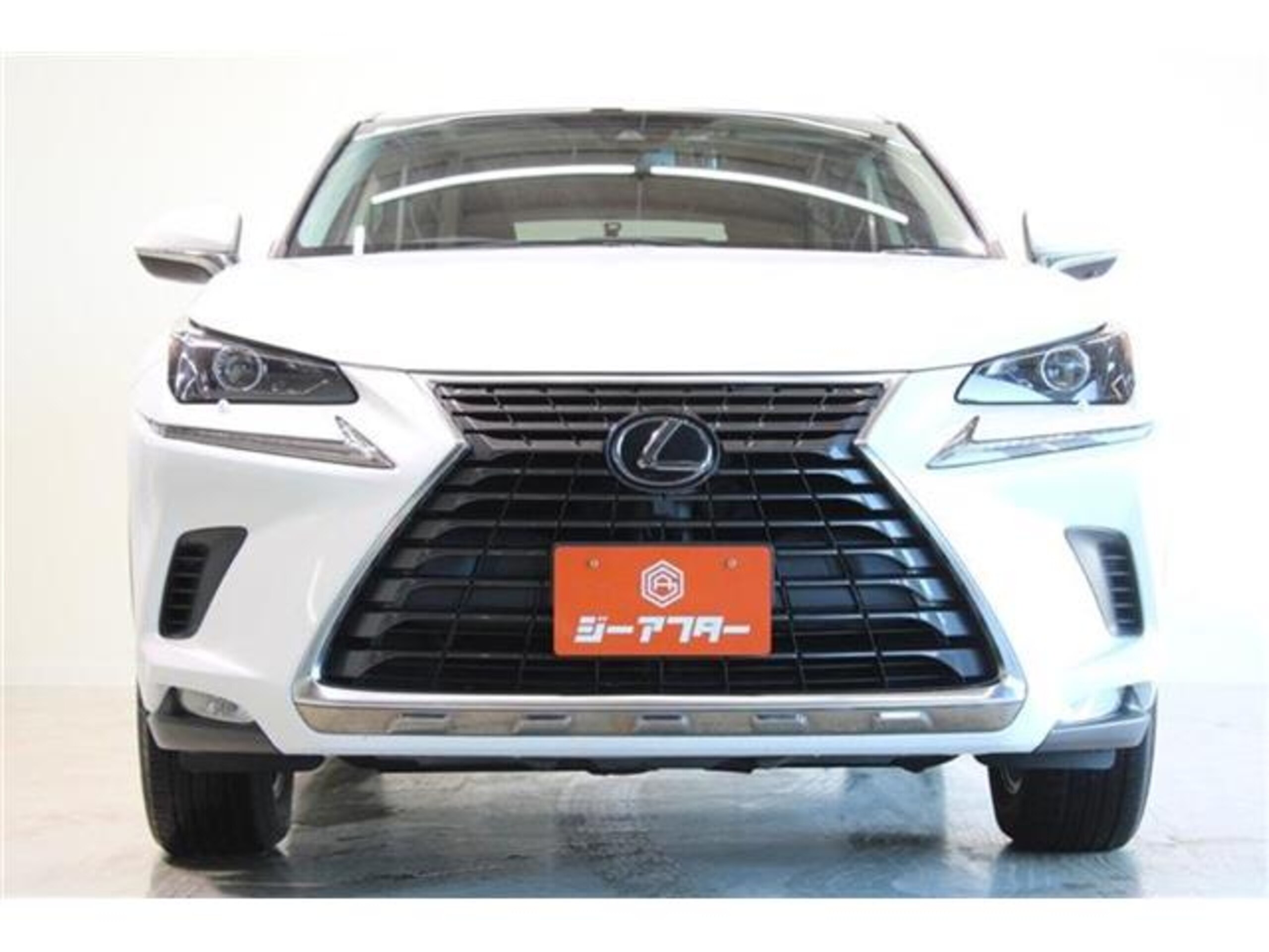 Lexus NX300 4WD — photo 9