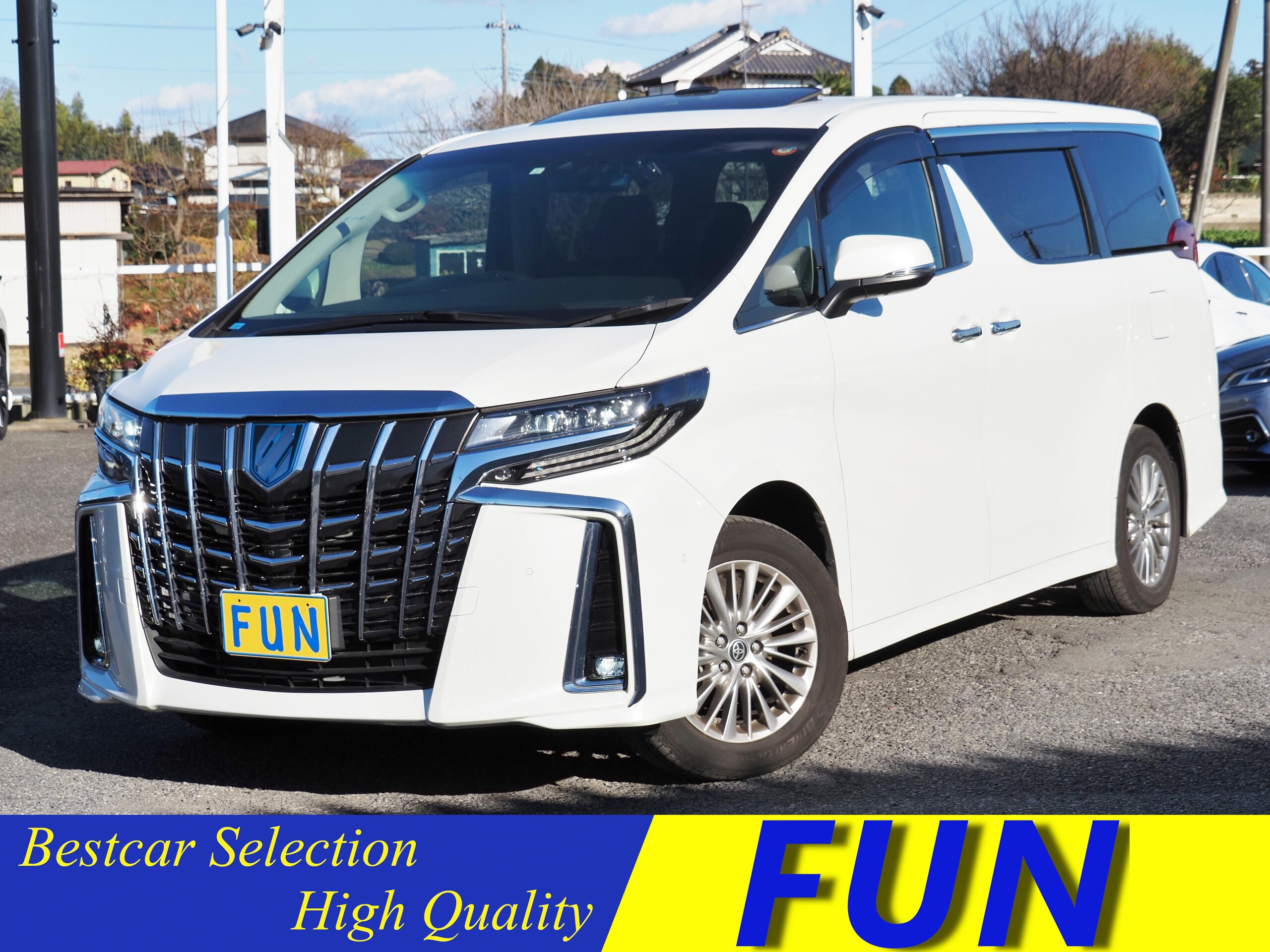 Toyota Alphard Hybrid 2.5 SR C Package E-Four 4WD