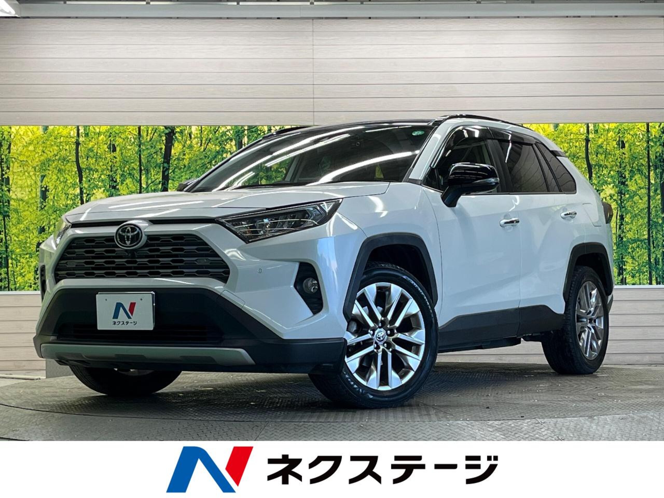 Toyota RAV4 2.0 G Z Package 4WD