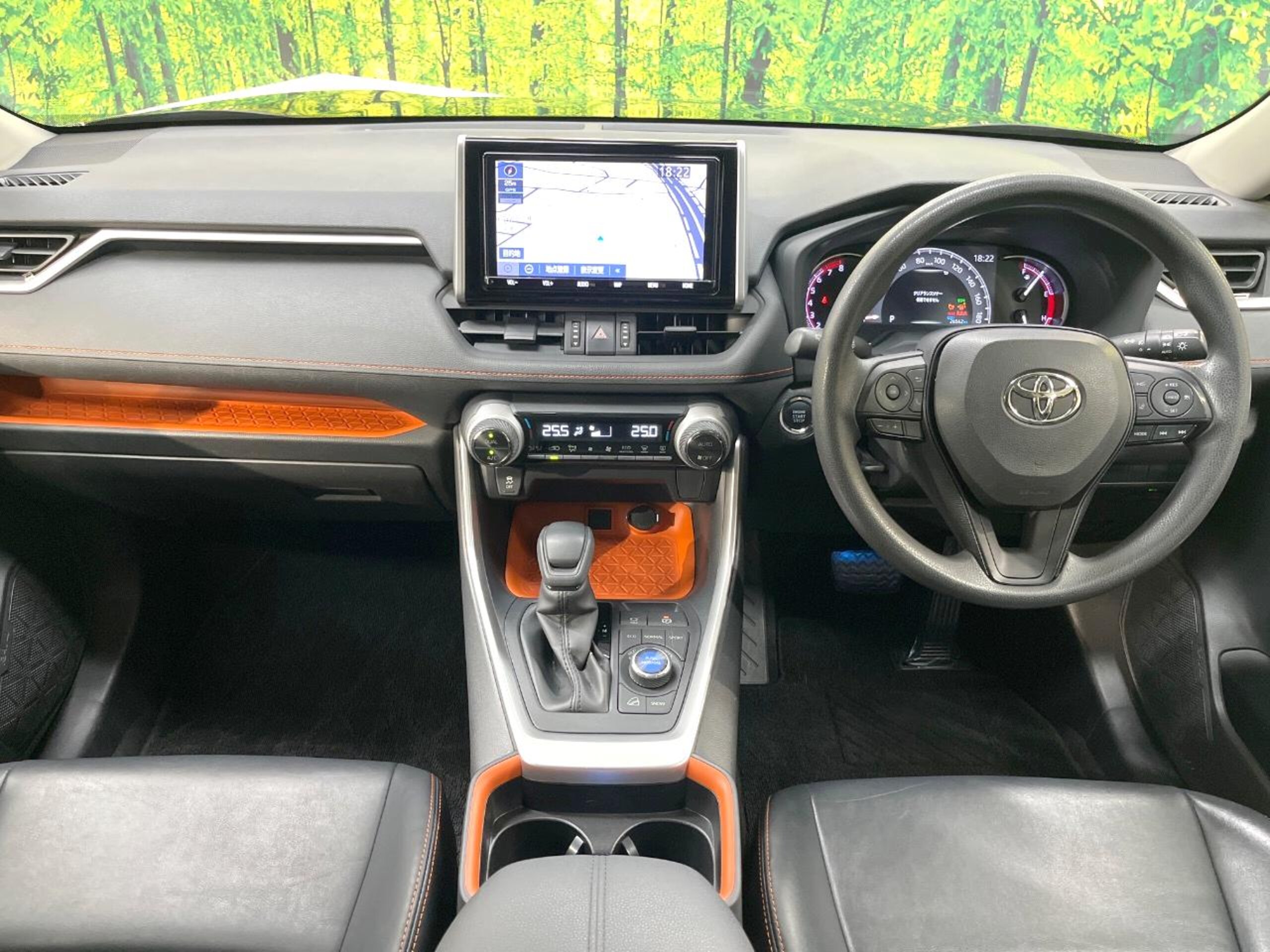 2019 Toyota  Rav4 — photo 2