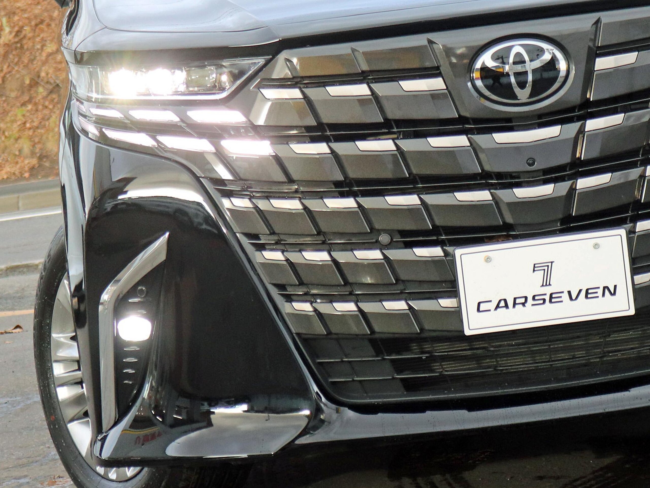 Toyota Alphard Hybrid 2.5 Z E-Four 4WD Executive Black Leather — photo 8