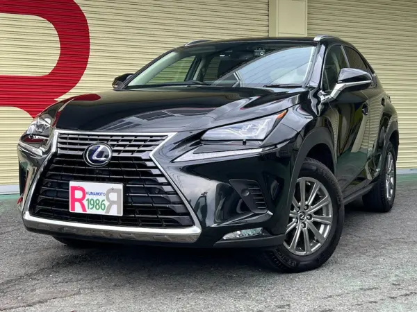 2021 Lexus Nx — photo 1