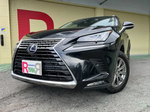 2021 Lexus Nx — photo 7 | Tuminion Kenya