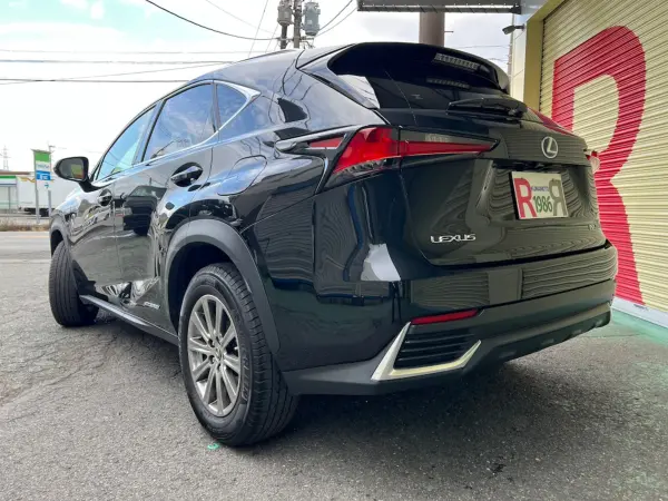 2021 Lexus Nx — photo 8 | Tuminion Kenya