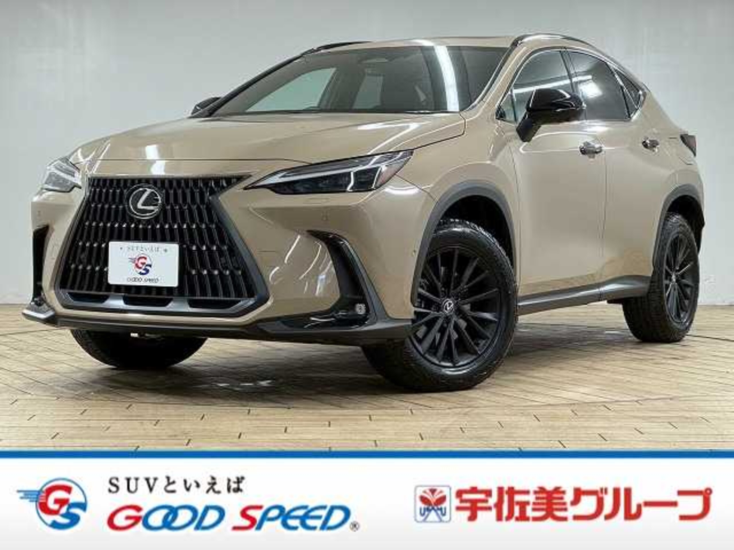 Lexus NX 350 OverTrail 4WD