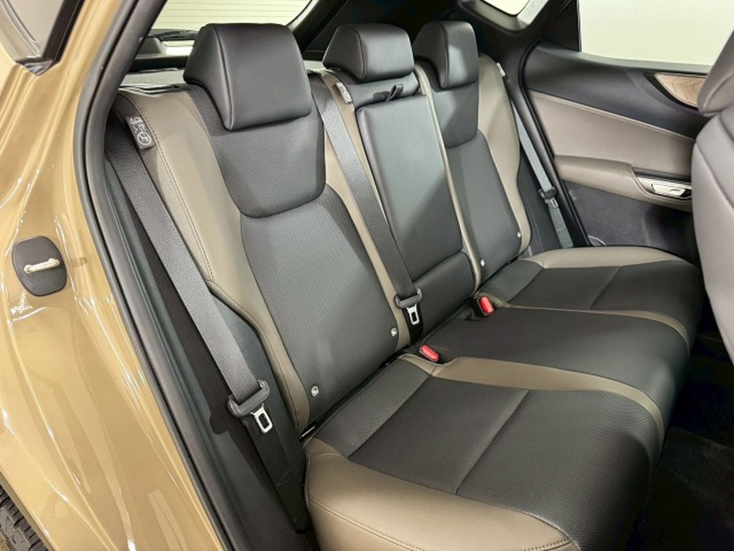 Lexus NX 350 OverTrail 4WD — photo 8