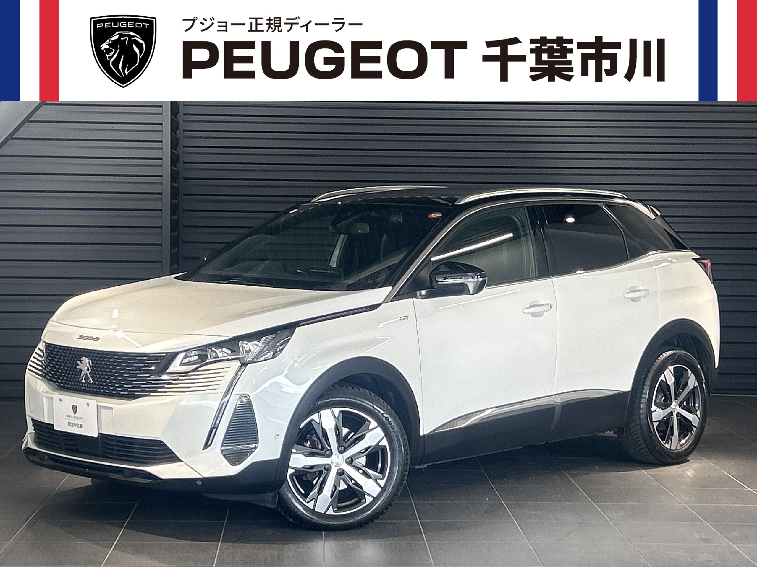 Peugeot 3008 GT BlueHDi Diesel Turbo