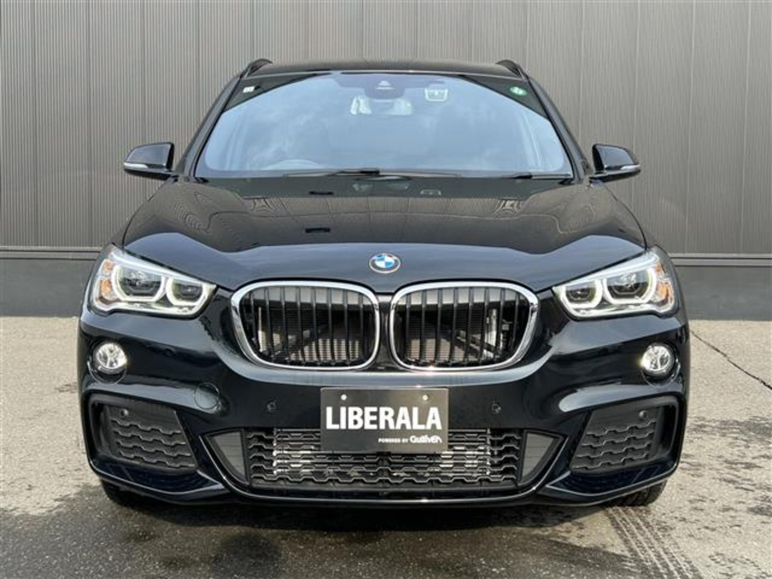 BMW X1 xDrive 18d M Sport 4WD — photo 8
