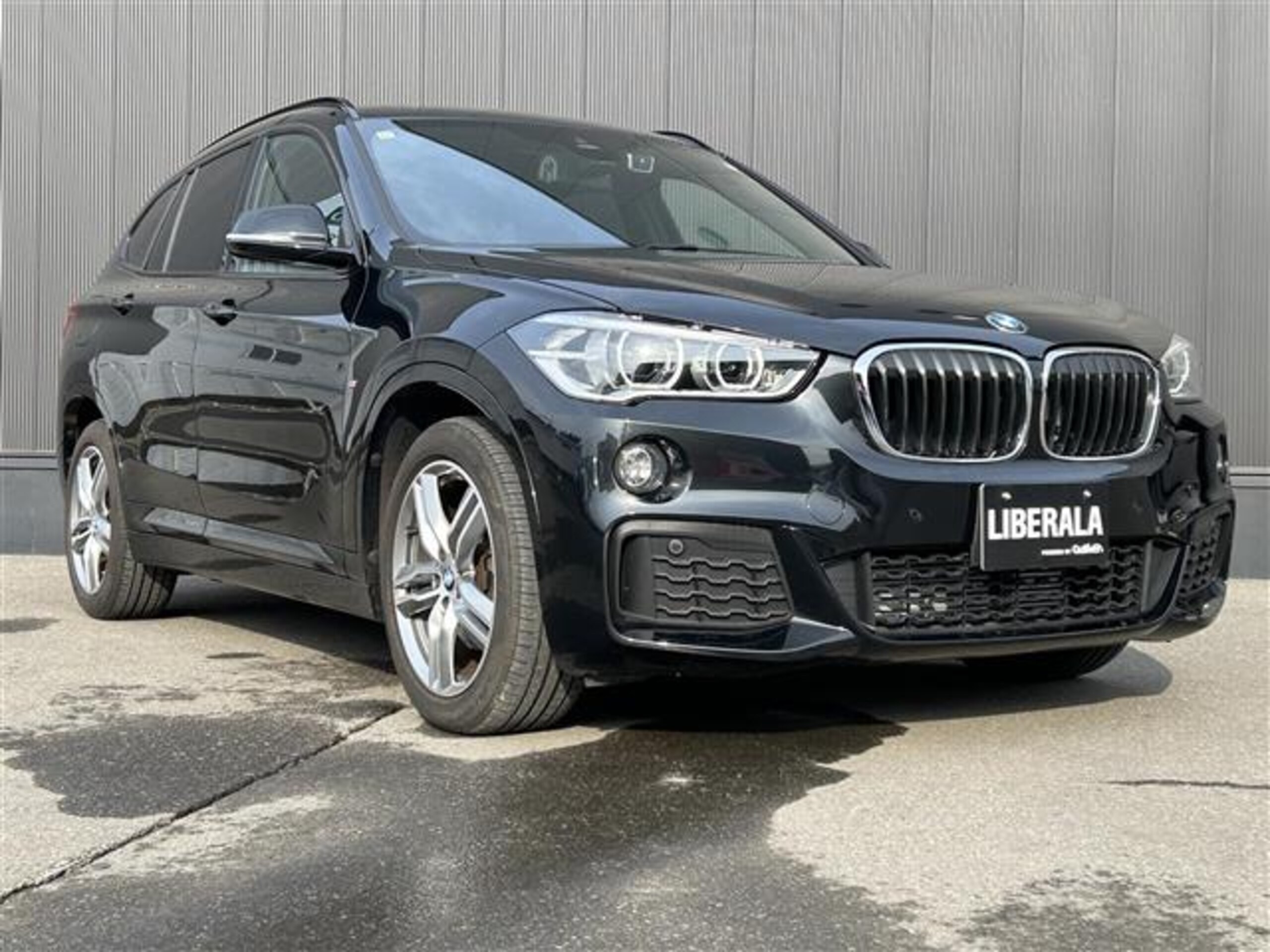 BMW X1 xDrive 18d M Sport 4WD — photo 9
