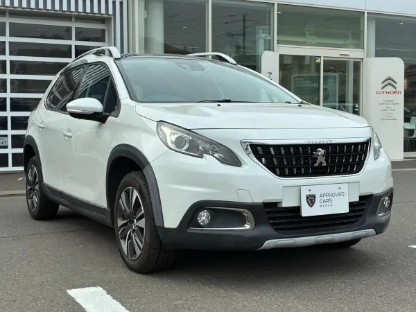 2018 Peugeot 2008 — photo 9 | Tuminion Kenya