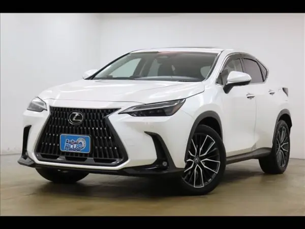 2023 Lexus Nx — photo 9 | Tuminion Kenya