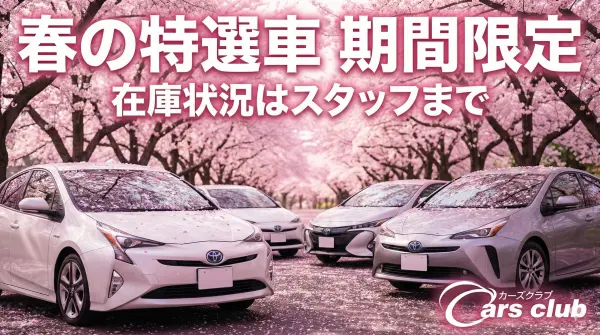 2019 Honda Cr-v — photo 3