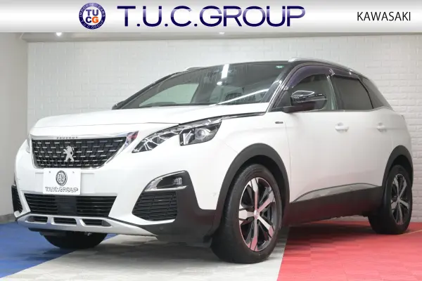 Peugeot 3008 GT Line 1 Owner P Start Half Leather Genuine Nav Full Seg Touch Monitor CarPlay BT Audio&TEL Side & B Camera Genuine 18-inch AW LED Lights 2-Year Warranty (Pearl White)
