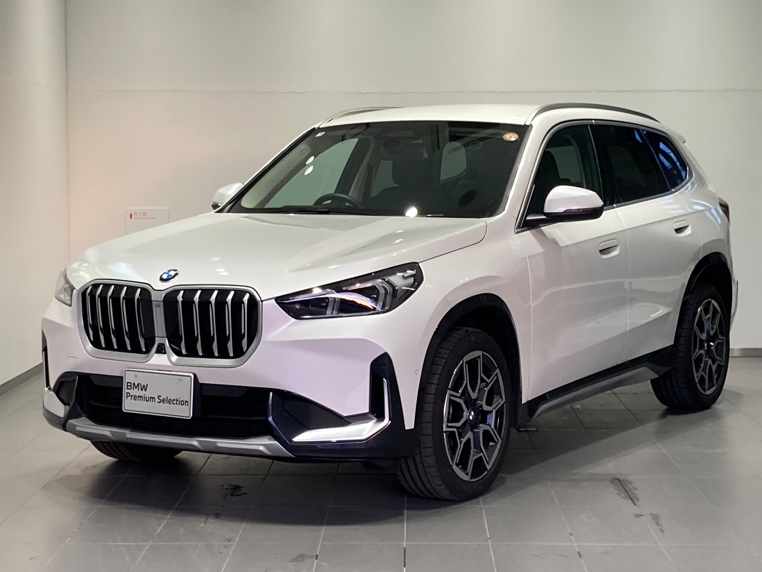 BMW X1 xDrive20d xLine DCT Diesel Turbo 4WD