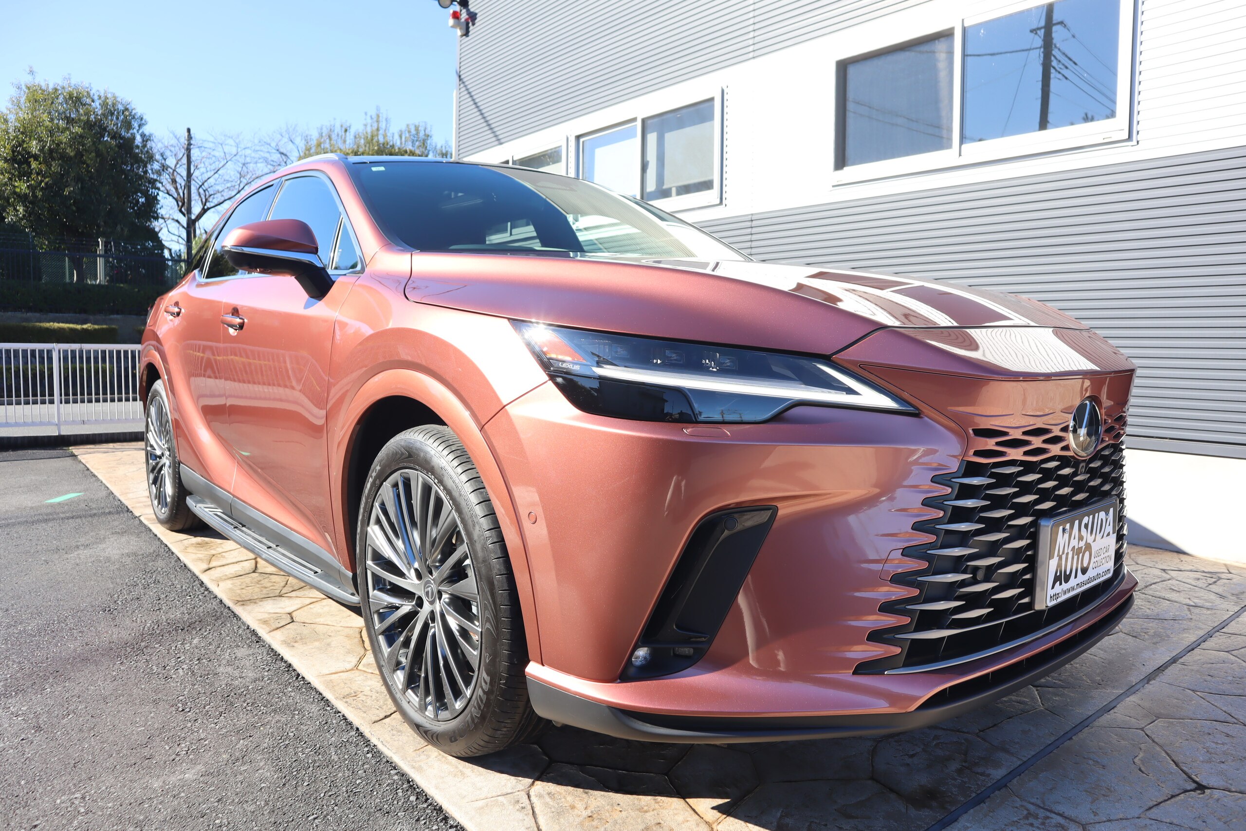 2023 Lexus Rx — photo 3