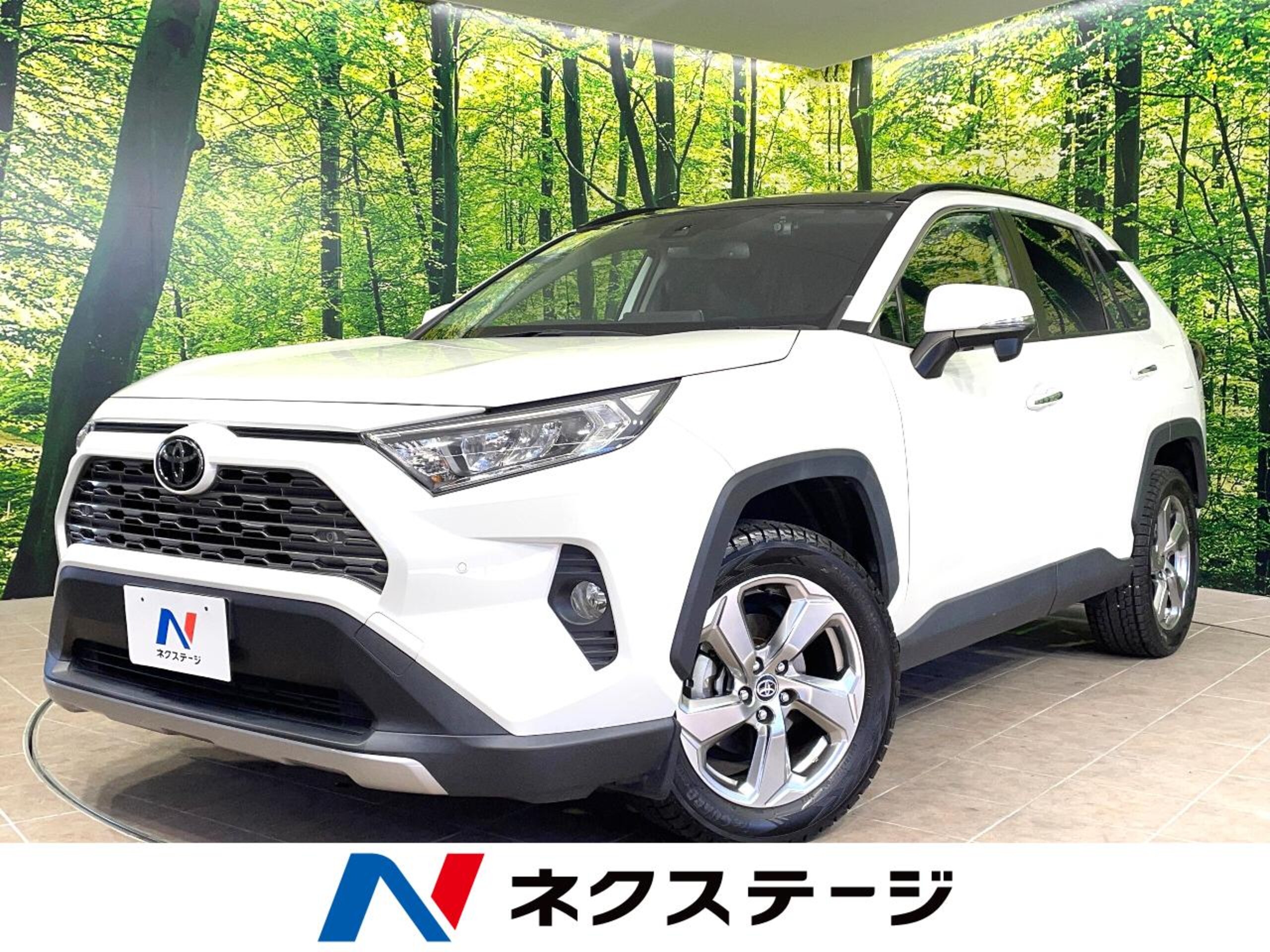 Toyota RAV4 2.0 G 4WD