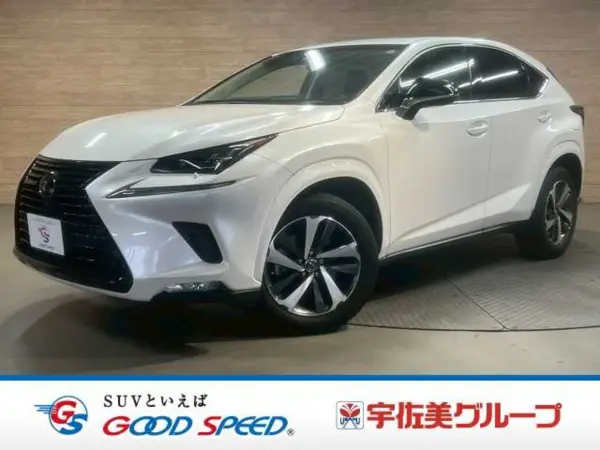 Lexus NX300 Black Sequence