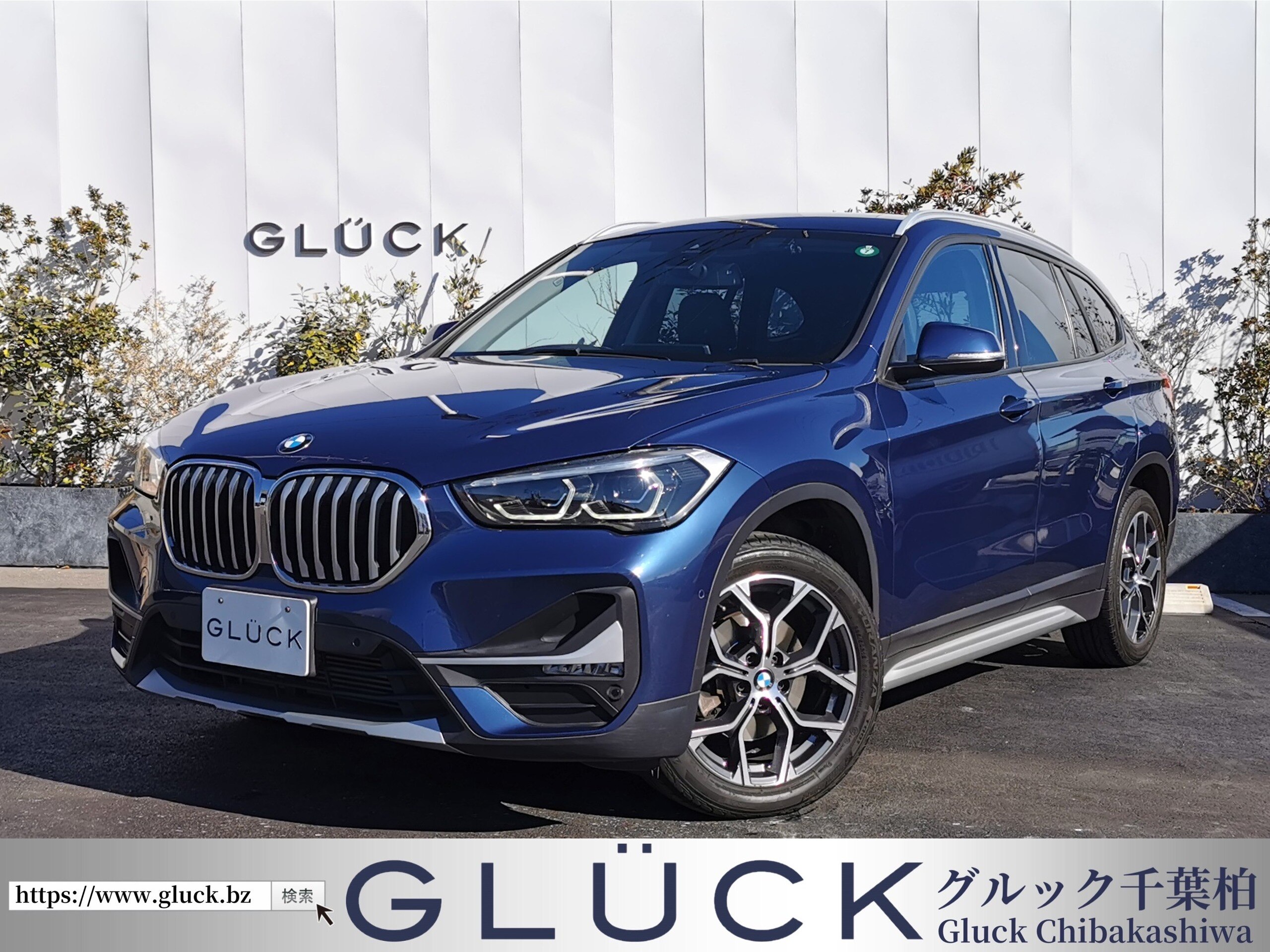 BMW X1 xDrive 18d xLine 4WD
