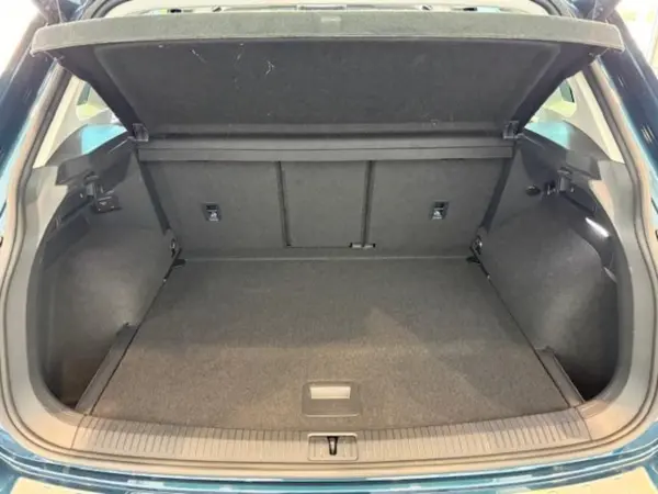 Volkswagen Tiguan TSI Elegance (Blue) — photo 9